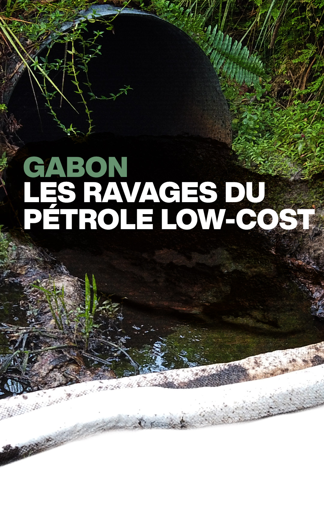 Gabon : les ravages du pétrole low-cost - FRANCE 24